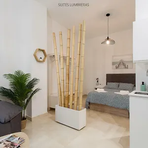 Lumbreras Apartment Seville